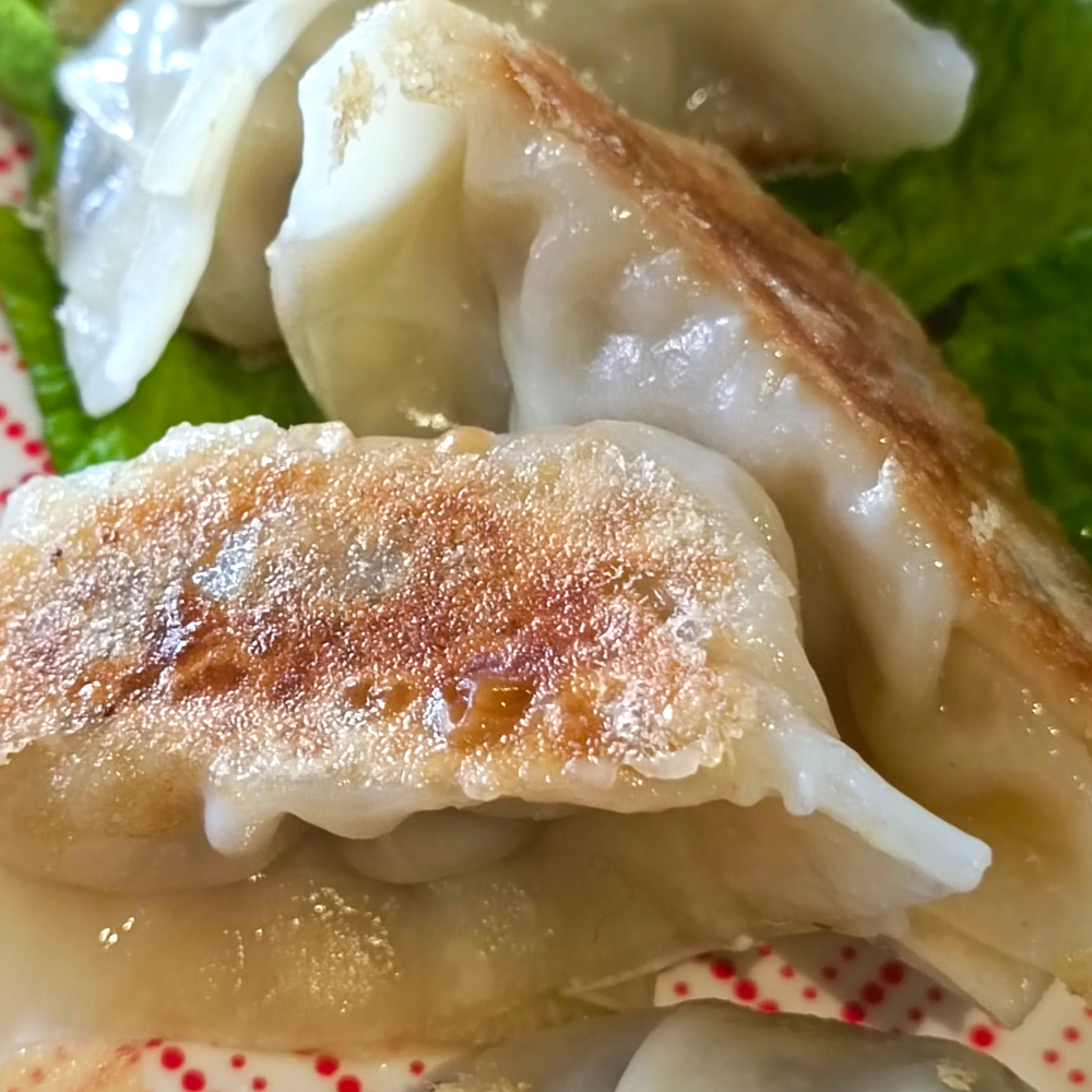 Gyoza