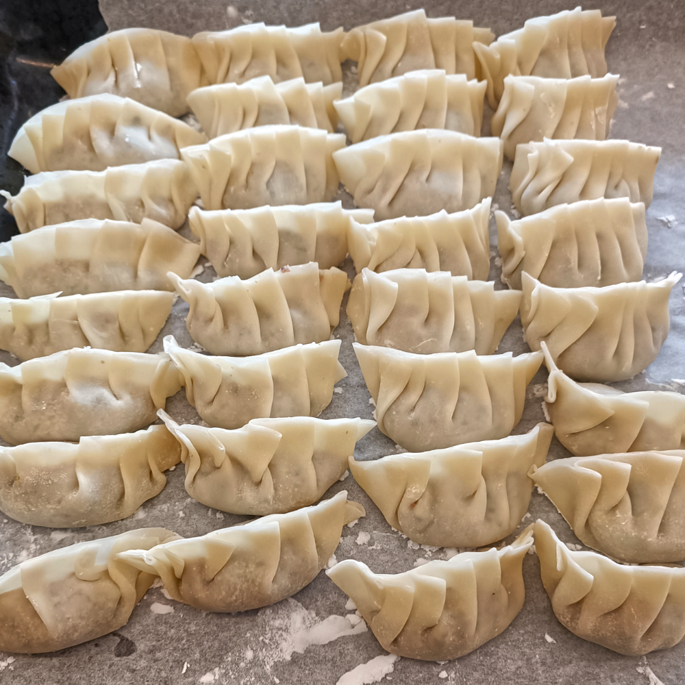 Gyoza